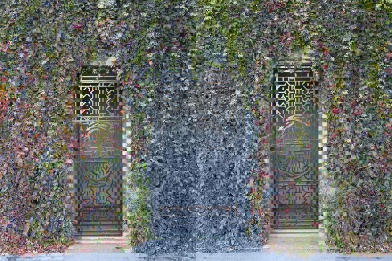 Jardines verticales transforman fachadas de edificios en el casco urbano